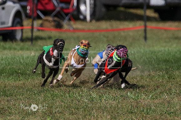 MCH74992  Hoodoo, Kixx, Merida, Betty