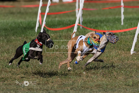 MCH74997-2  Hoodoo, Kixx, Merida, Betty