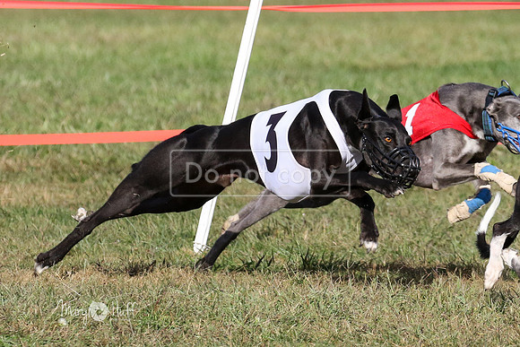 MCH75137-2  Quigley, Divit, Mazzie, Etta