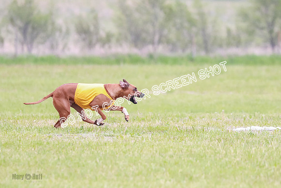 A Prelim Open 2 Zanna Whiskey-1515