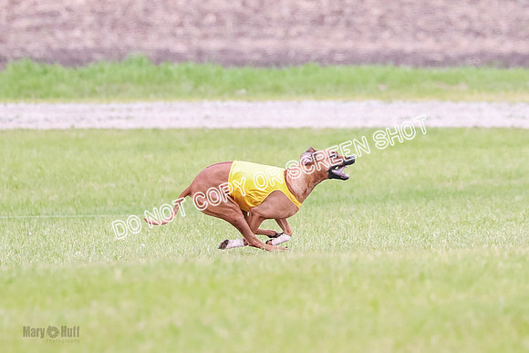 A Prelim Open 2 Zanna Whiskey-1489