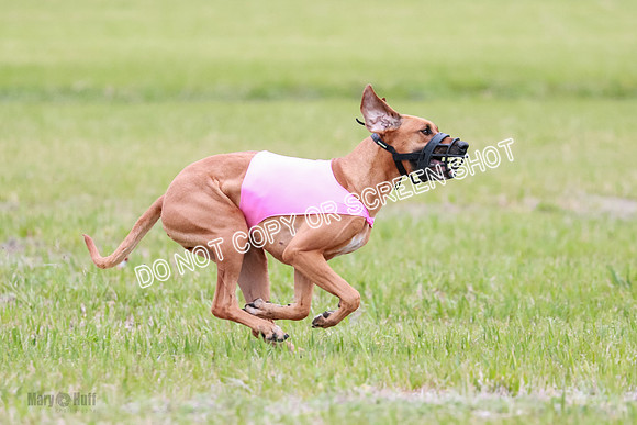 B Prelim Fch 2 Bayden Zayin Jinx-1664