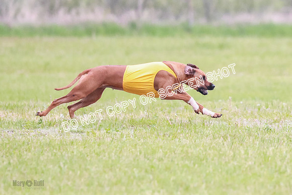 A Prelim Open 2 Zanna Whiskey-1516