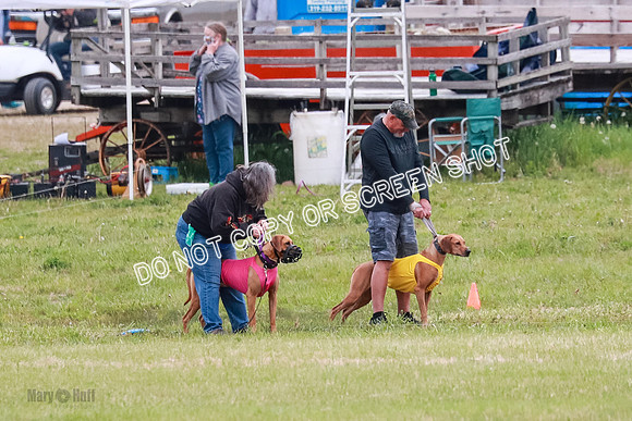 B Prelim Fch 4 Xena Jolene-1736