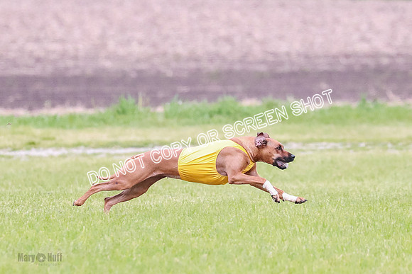A Prelim Open 2 Zanna Whiskey-1499