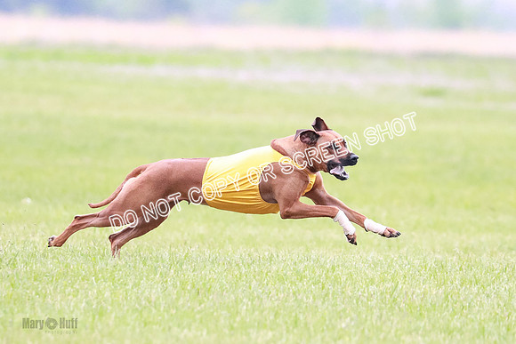 A Prelim Open 2 Zanna Whiskey-1539