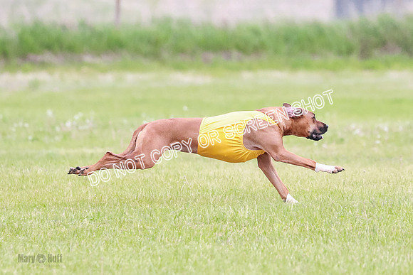 A Prelim Open 2 Zanna Whiskey-1504