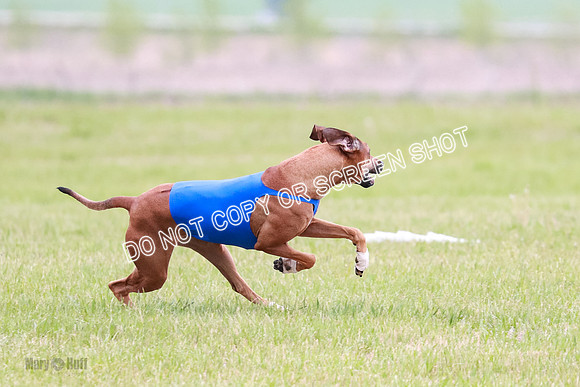 B Prelim Libby Taya Scrappy Coco-1590