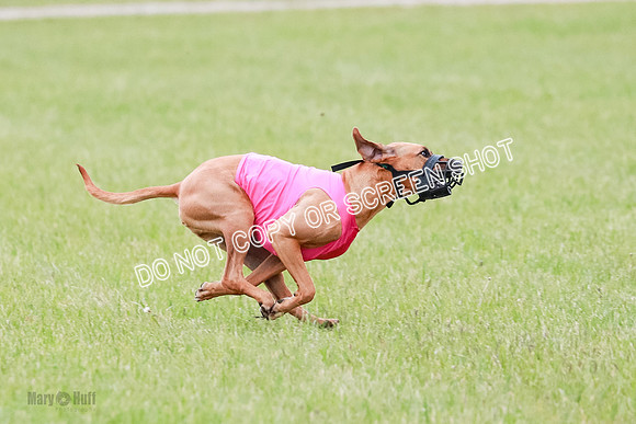 B Prelim Fch 4 Xena Jolene-1747