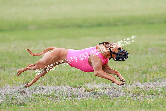 B Prelim Fch 4 Xena Jolene-1790