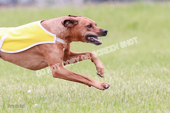 B Prelim Fch 2 Bayden Zayin Jinx-1638