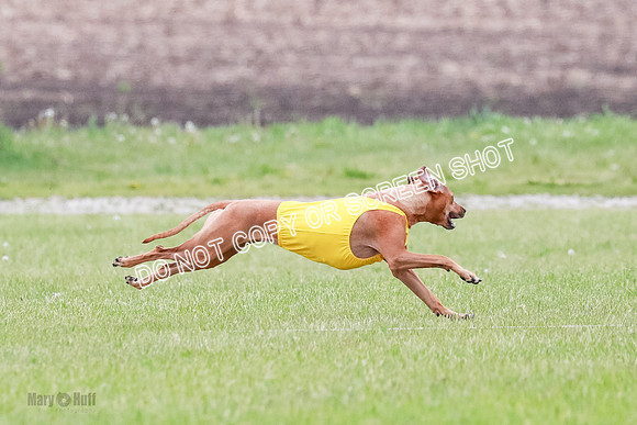 B Prelim Fch 4 Xena Jolene-1744