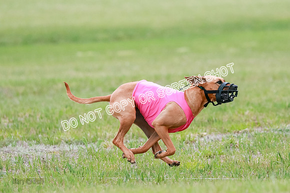 B Prelim Fch 4 Xena Jolene-1793