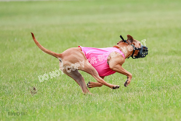 B Prelim Fch 4 Xena Jolene-1802