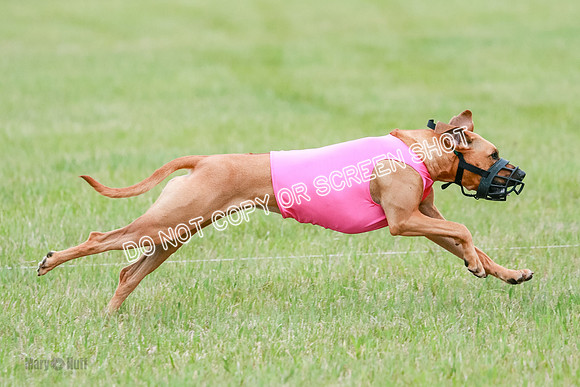 B Prelim Fch 4 Xena Jolene-1786