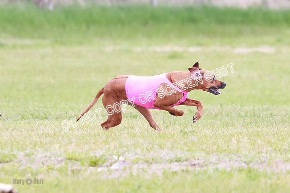 B Prelim Libby Taya Scrappy Coco-1582