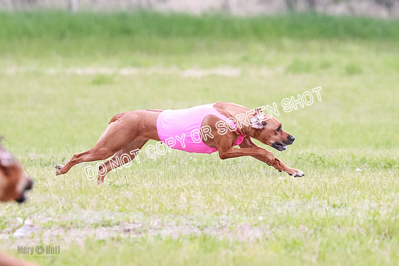 B Prelim Libby Taya Scrappy Coco-1583