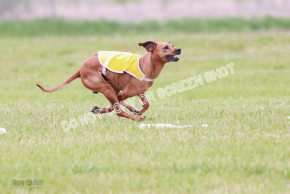 B Prelim Fch 2 Bayden Zayin Jinx-1628