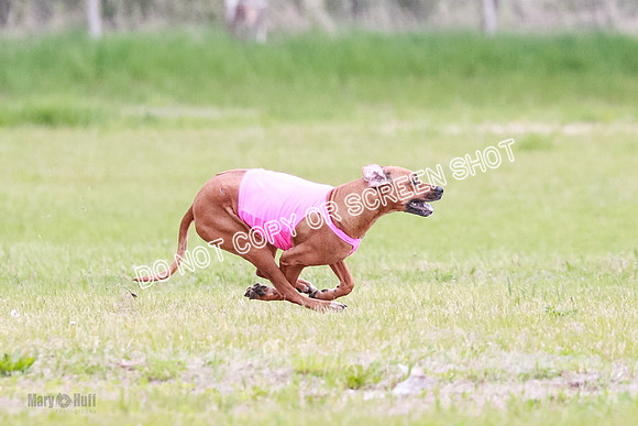B Prelim Libby Taya Scrappy Coco-1581