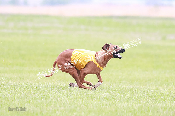 A Prelim Open 2 Zanna Whiskey-1542