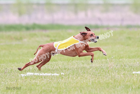 B Prelim Fch 2 Bayden Zayin Jinx-1630