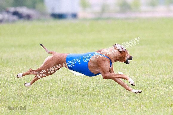 B Prelim Libby Taya Scrappy Coco-1598