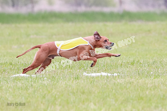 B Prelim Fch 2 Bayden Zayin Jinx-1625