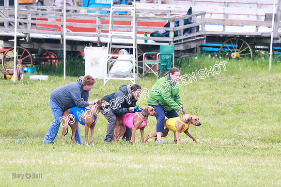 B Prelim Libby Taya Scrappy Coco-1571