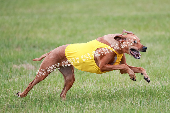 B Prelim Fch 4 Xena Jolene-1771