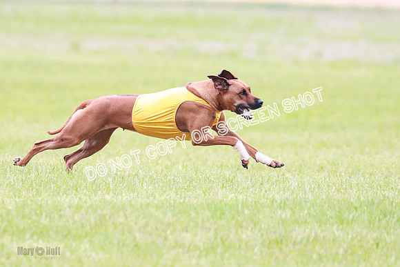 A Prelim Open 2 Zanna Whiskey-1544
