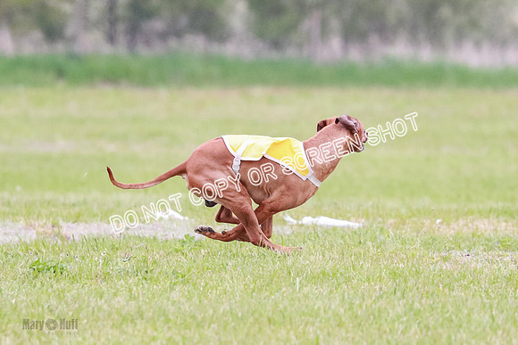 B Prelim Fch 2 Bayden Zayin Jinx-1621