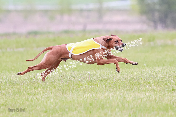 B Prelim Fch 2 Bayden Zayin Jinx-1634