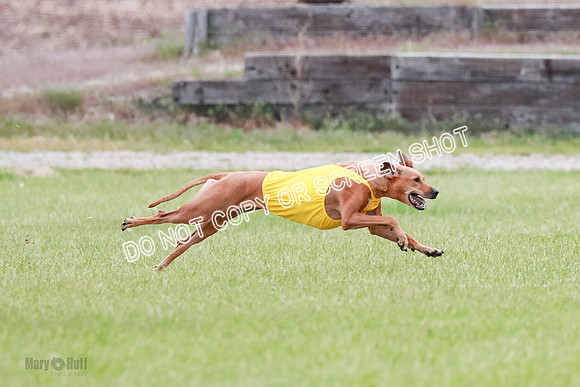B Prelim Fch 4 Xena Jolene-1739