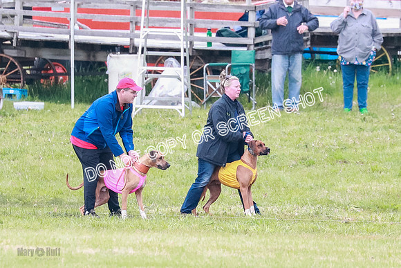A Prelim Open 2 Zanna Whiskey-1482