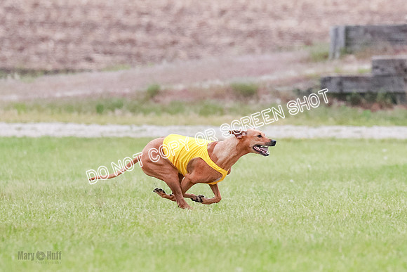 B Prelim Fch 4 Xena Jolene-1738
