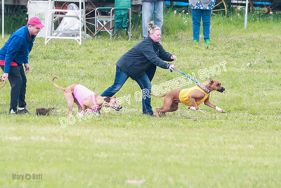A Prelim Open 2 Zanna Whiskey-1485
