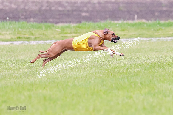 A Prelim Open 2 Zanna Whiskey-1494