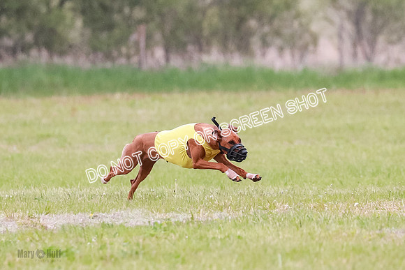 B Prelim Fch 3 Erzulie Ace-1696