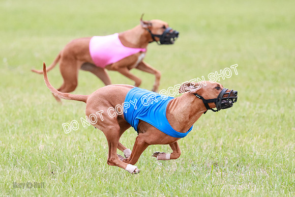 B Prelim Fch 2 Bayden Zayin Jinx-1645