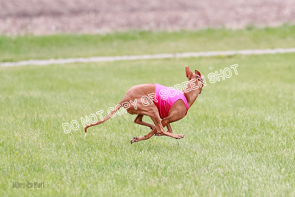 B Prelim Fch 2 Lucy Cayper Copper-2145