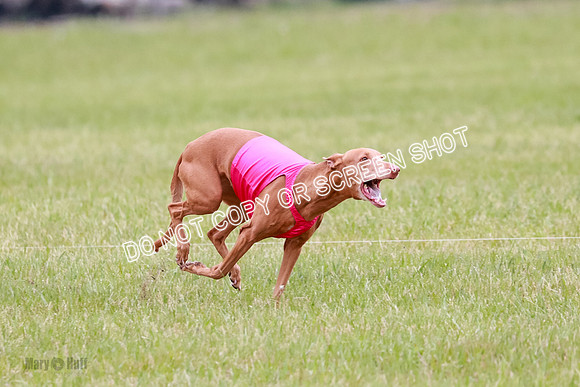 B Prelim Fch 2 Lucy Cayper Copper-2157