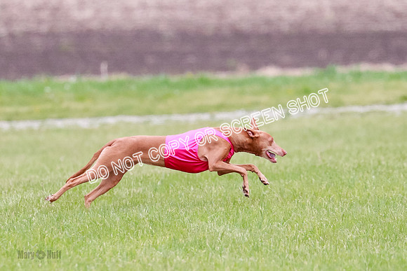 B Prelim Fch 2 Lucy Cayper Copper-2136