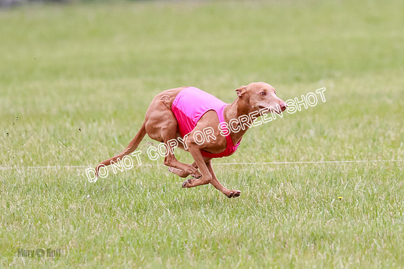 B Prelim Fch 2 Lucy Cayper Copper-2158