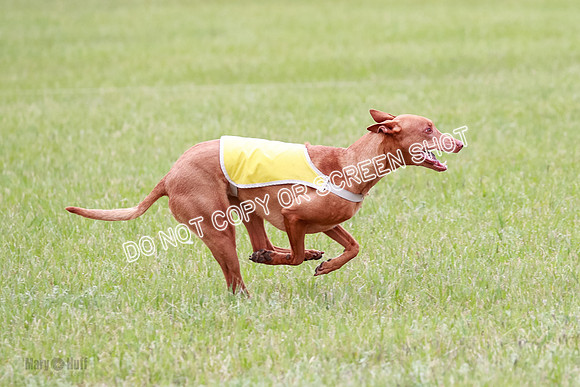 B Prelim Fch 2 Lucy Cayper Copper-2164