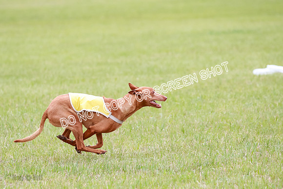 B Prelim Fch 2 Lucy Cayper Copper-2168