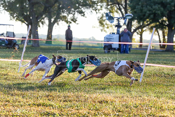 MCH58948  Remy-L, Spark, Hatch-E, Clive