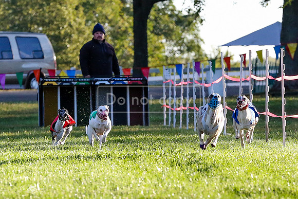 MCH58961 MsSeaBee, Gloria, Finch, Popcorn