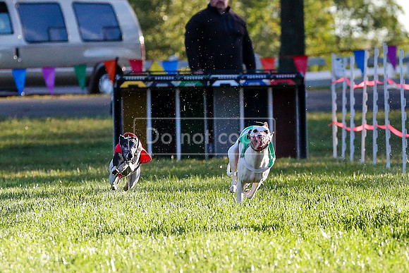 MCH58962 MsSeaBee, Gloria, Finch, Popcorn