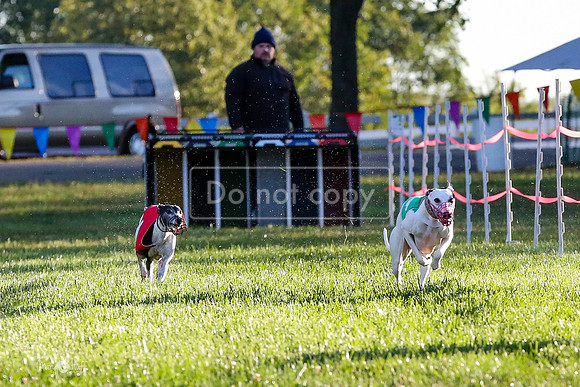 MCH58964  MsSeaBee, Gloria, Finch, Popcorn