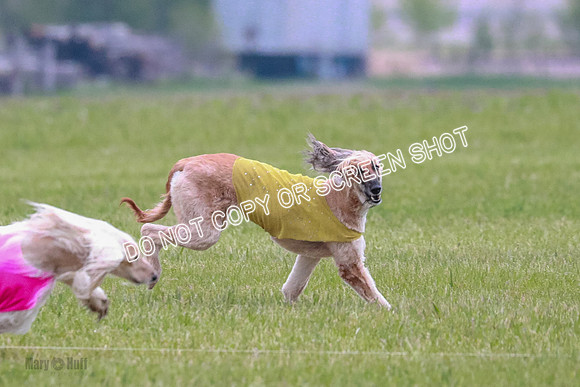 B Prelim Fch 2 Narcissa Feniq-0366